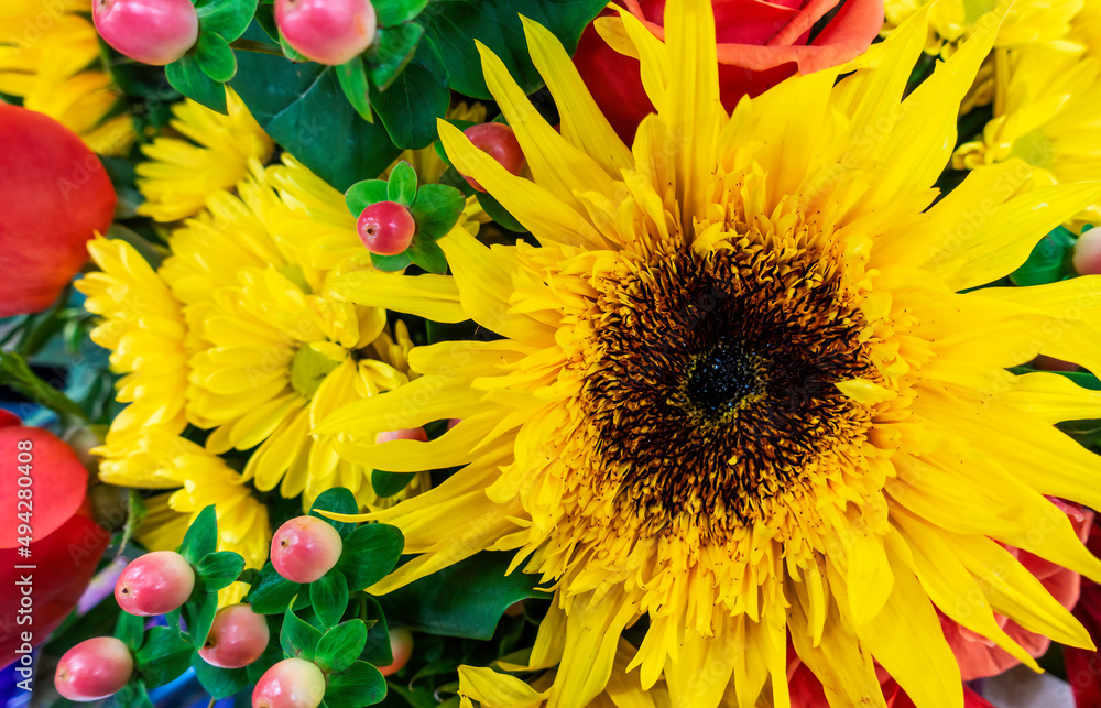 Obraz premium Large yellow flower among many flowers