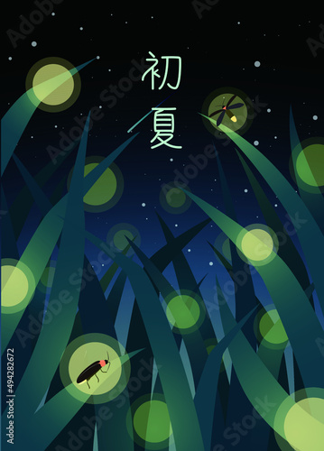 Firefly (lightning bug) flying in the grass land at night. Summer night vector illustration (Text word:early summer)