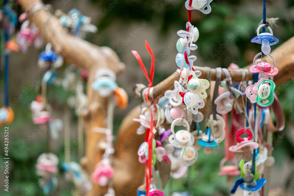 Pacifiers are hanging on the tree.