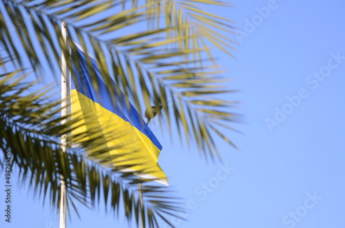 Flag of Ukraine on the background of a palm branch. The Blue and Yellow Flag of Liberty and the Palm Branch of Victory