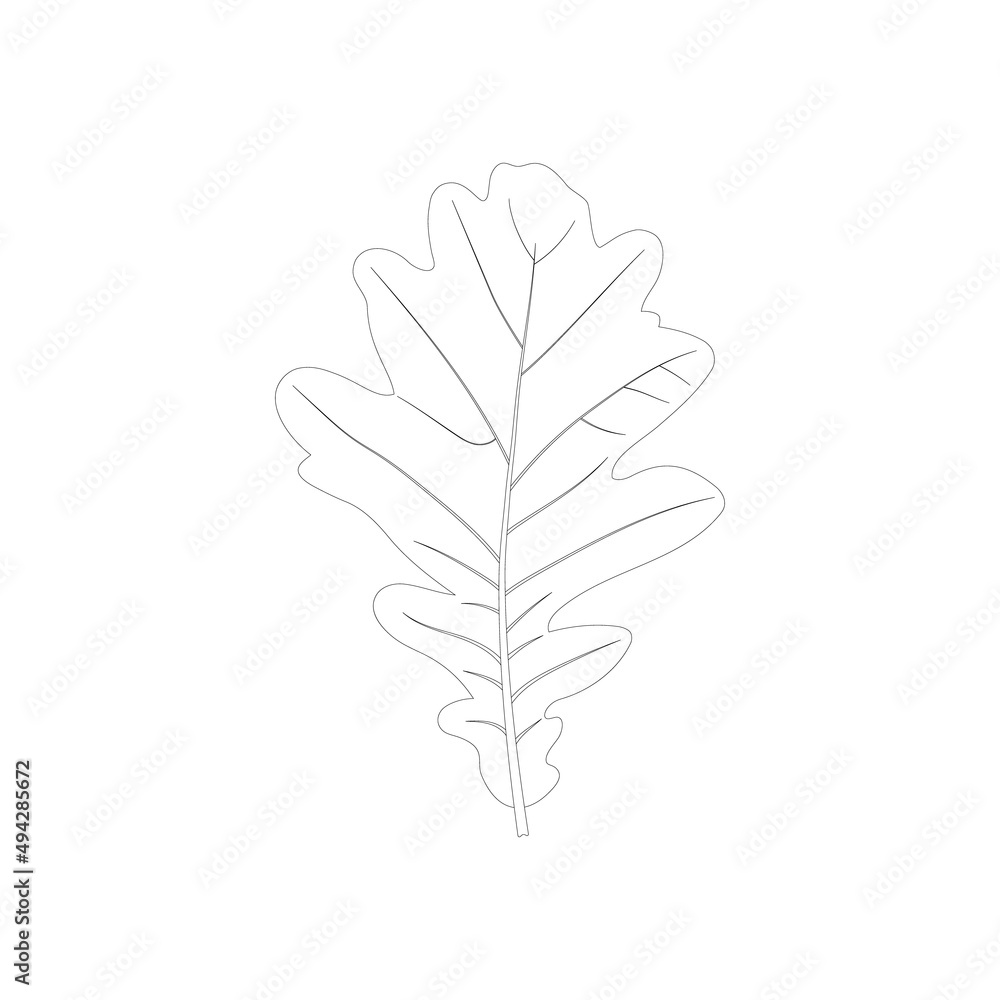 Oak leaf icon in black and white on a white background. Oak leaf icon in black and white on a white background.