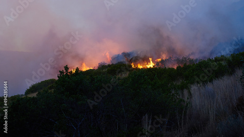 Fiery destruction. Shot of a wild fire burning.