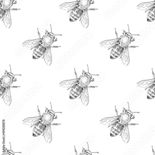 Seamless bee ornament pattern backgrounds. Wallpaper template design. Hand drawn vector illustration.