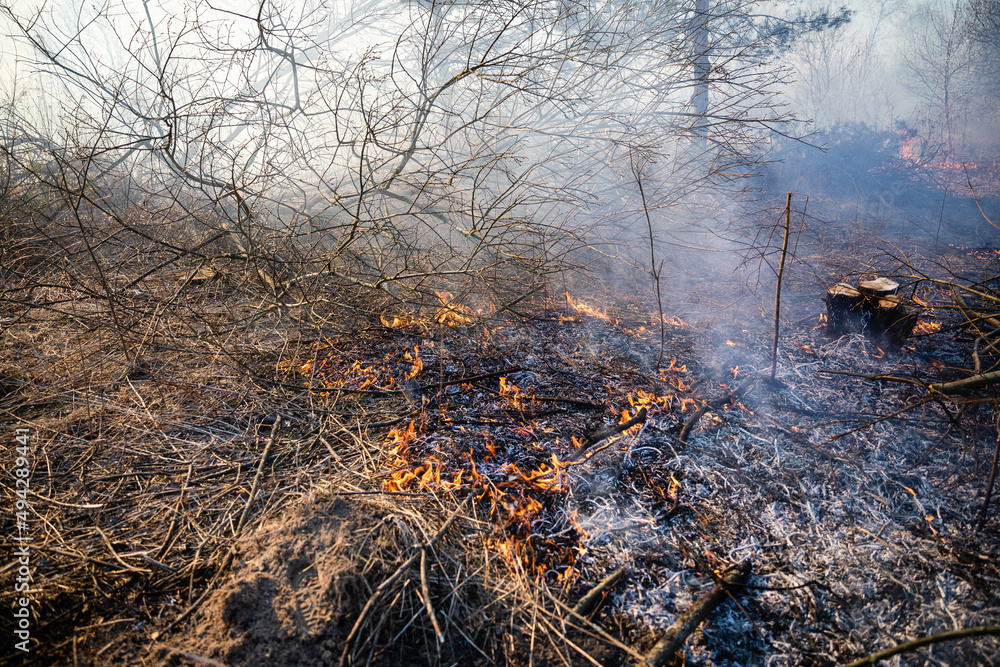 Feldbrand und Waldbrand nach langer Trockenheit Feldbrand und Waldbrand nach langer Trockenheit