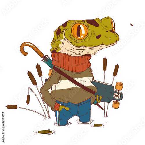 A Skateboarder Frog, vector illustration. Anthropomorphic casually dressed frog, standing in the water among bulrushes and holding a skateboard. An animal character with a human body. Humanized toad.