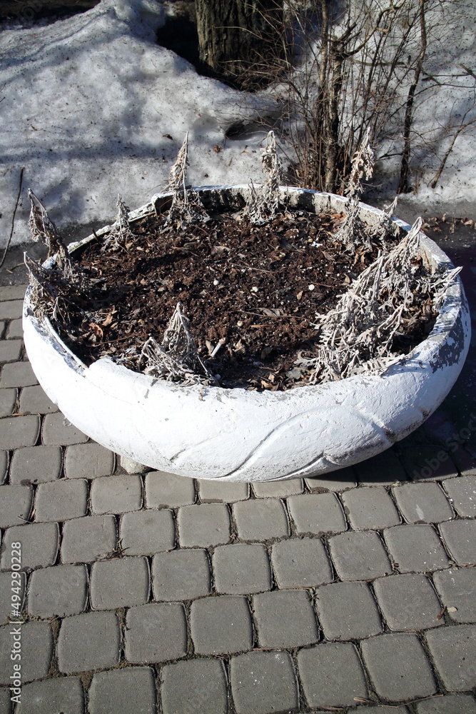 round white flowerbed outdoors in winter