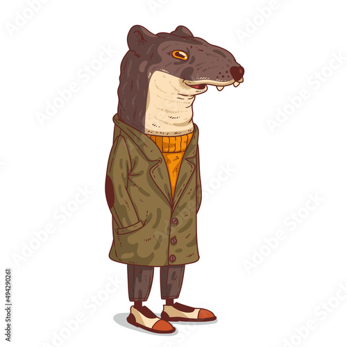 A hipster weasel, isolated vector illustration. Calm anthropomorphic ermine wearing a cloak, standing still with his hands in pockets. Kind humanized marten. An animal character with a human body.