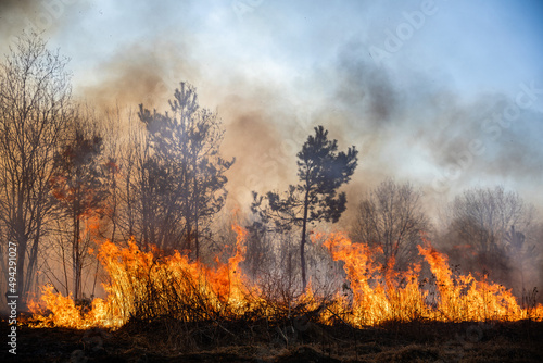 Feldbrand und Waldbrand nach langer Trockenheit © Rico Löb