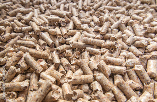 Wooden pellets used as fuel in ecological heating boilers. © rparys