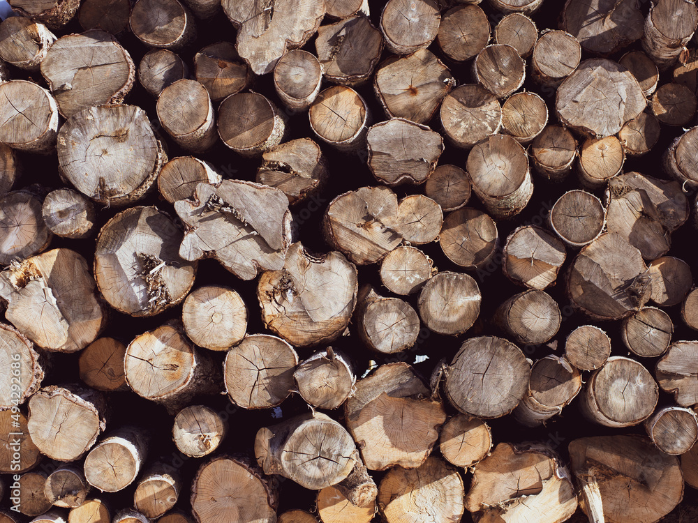 Giant pile of logs in a logging camp at a street sawmill, selling timber Giant pile of logs in a logging camp at a street sawmill, selling timber
