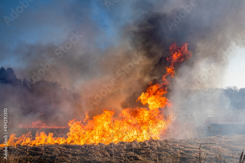 Feldbrand und Waldbrand nach langer Trockenheit © Rico Löb
