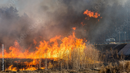 Feldbrand und Waldbrand nach langer Trockenheit © Rico Löb
