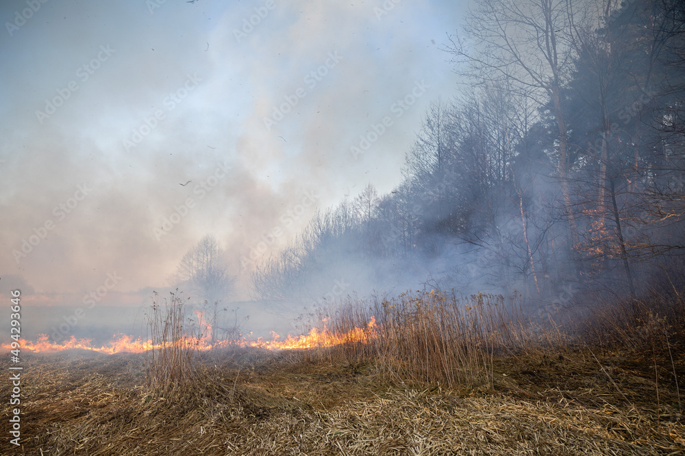 Feldbrand und Waldbrand nach langer Trockenheit Feldbrand und Waldbrand nach langer Trockenheit