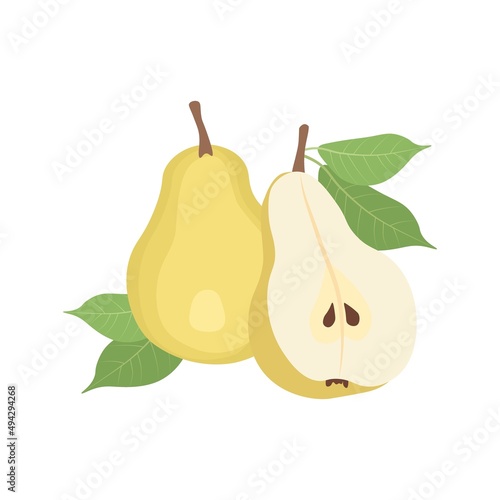 Yellow pears on a white background. Vector illustration