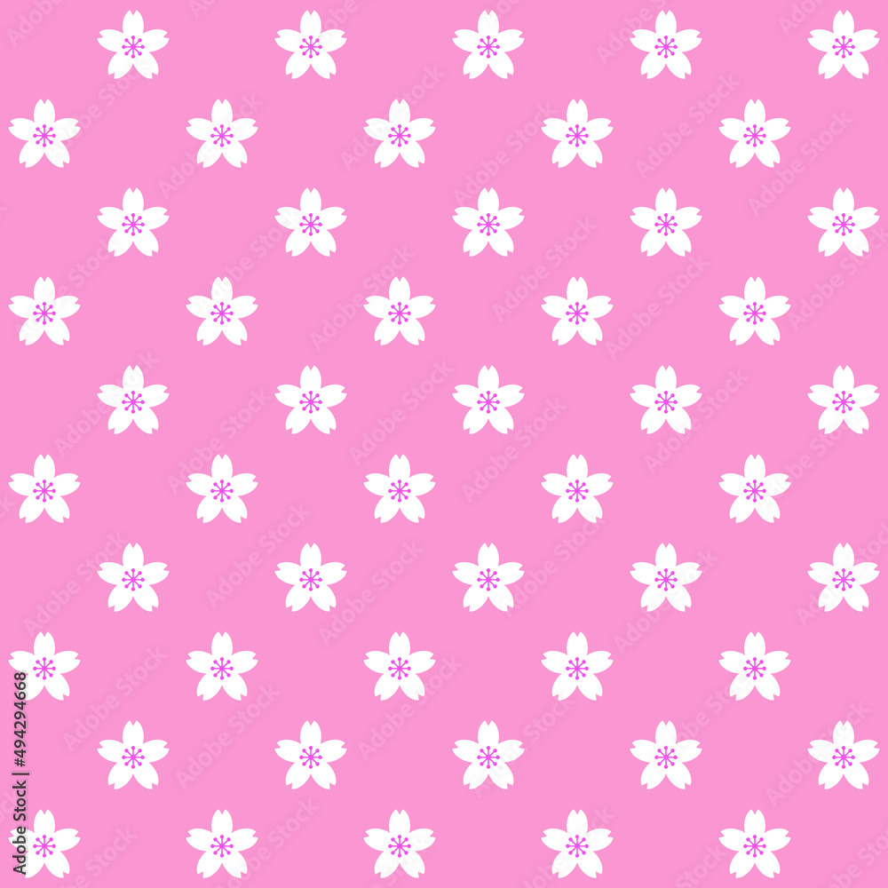 White sakura pattern on pink background. White Japanese flowers pattern. Cherry blossom background. White sakura pattern on pink background. White Japanese flowers pattern. Cherry blossom background.