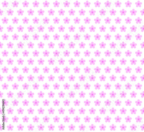 Pink sakura pattern on white background. Pink flowers pattern. Cherry blossom background.