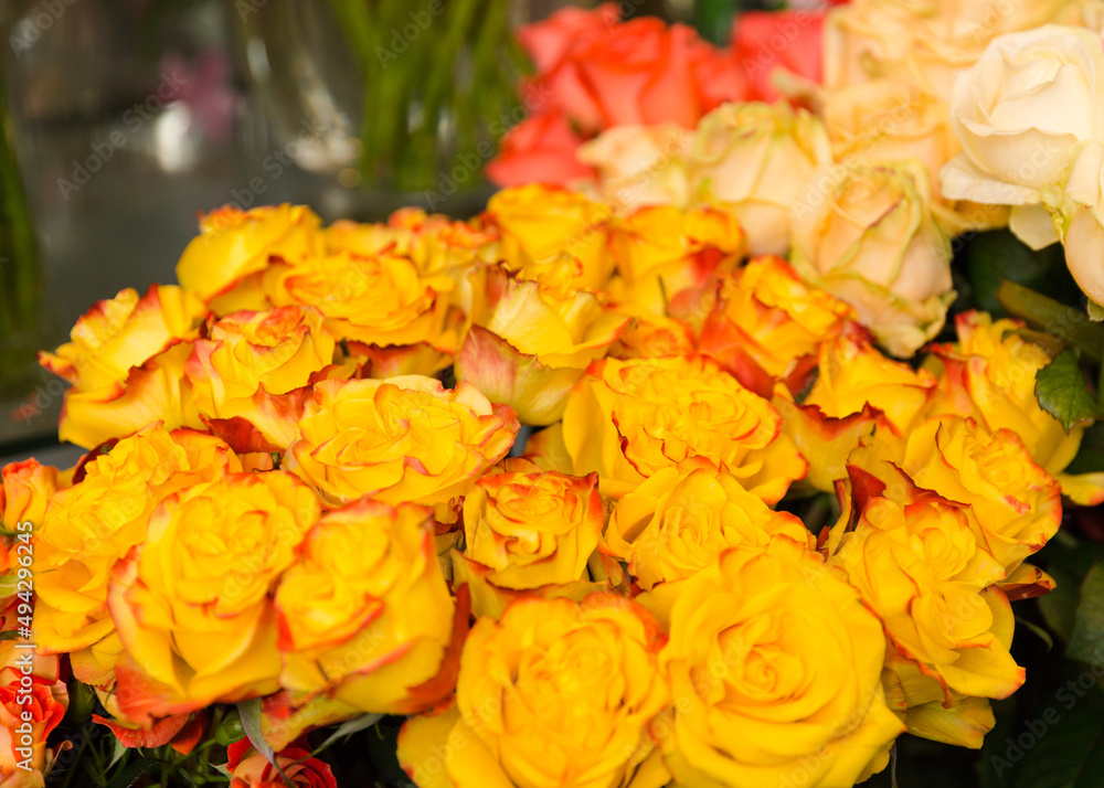 Obraz premium A beautiful bright bouquet of blooming fresh roses for a gift collected by an experienced florist