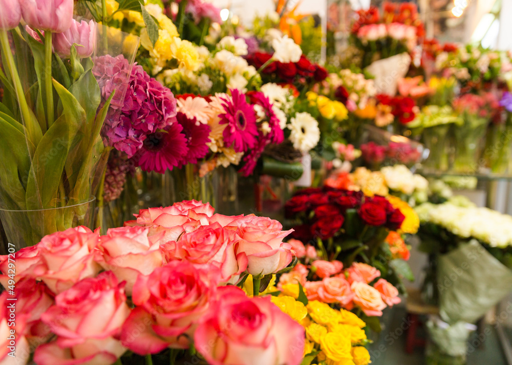 beautiful bright interior of a flower shop in Ukraine with bouquets collected by professional florists beautiful bright interior of a flower shop in Ukraine with bouquets collected by professional florists