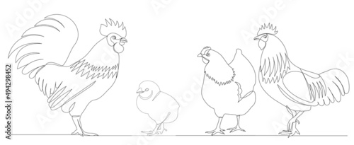 Canvastavla rooster and hen drawing by one continuous line vector