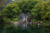 Japanese garden waterfall with gorgeous summer trees