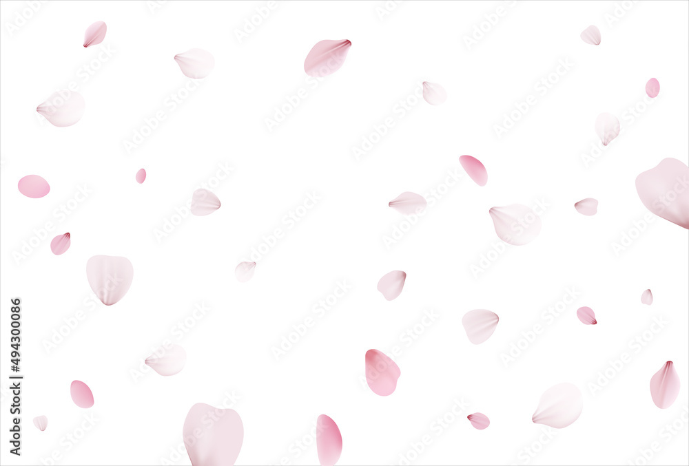 Sakura background, cherry vector background