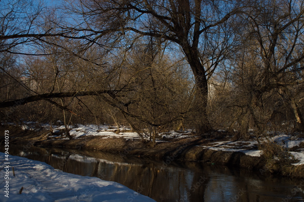 Obraz premium river, stream