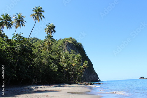 Anse Couleuvre, Martinique © Guillaume