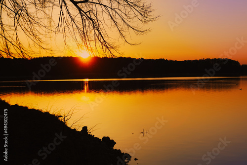 sunset over the forest by the lake