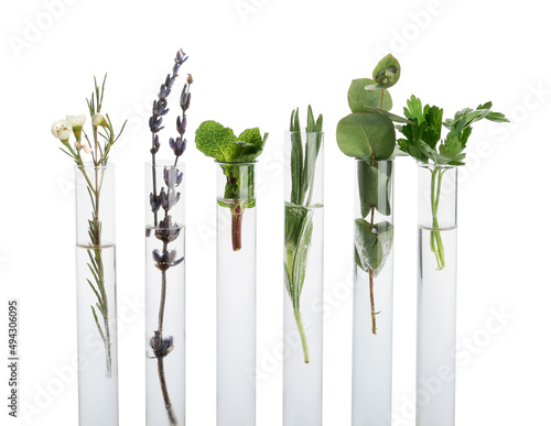 Test tubes with natural ess...