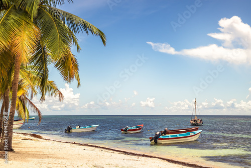 Tropical beach with palm trees and old boats floating on Caribbean Sea in Dominican Republic on Saona island as tropical scenery 