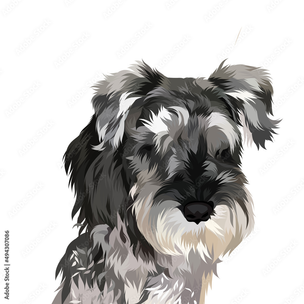 Dog vector pop art colorful white background