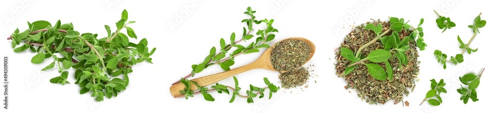 Oregano or marjoram leaves fresh and dry isolated on white background. Top view. Flat lay. Set or collection Oregano or marjoram leaves fresh and dry isolated on white background. Top view. Flat lay. Set or collection