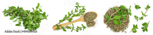 Oregano or marjoram leaves fresh and dry isolated on white background. Top view. Flat lay. Set or collection