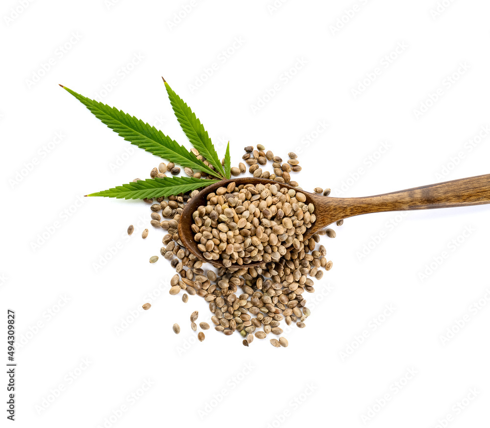 Spoon with hemp seeds on white background Spoon with hemp seeds on white background