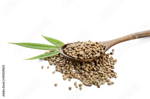 Spoon with hemp seeds on white background