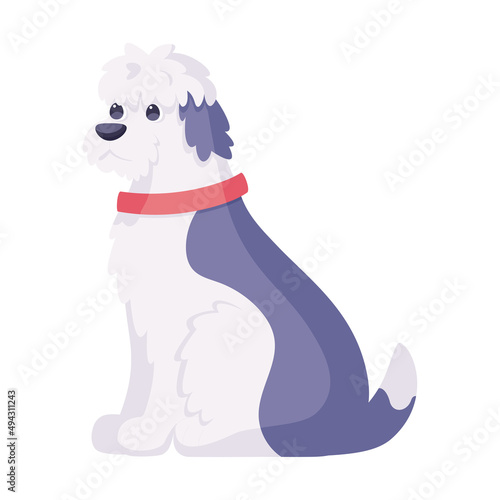 Isolated cute english sheepdog dog breed cartoon Vector illustration