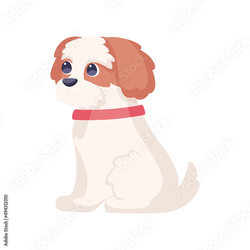 Isolated cute cavalier king charles spaniel dog breed cartoon Vector illustration