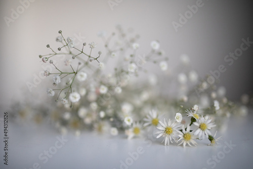 Beautiful photo of white small flowers with a golden color, delicate flowers for girls, for brides, on a white floor and against a white wall
