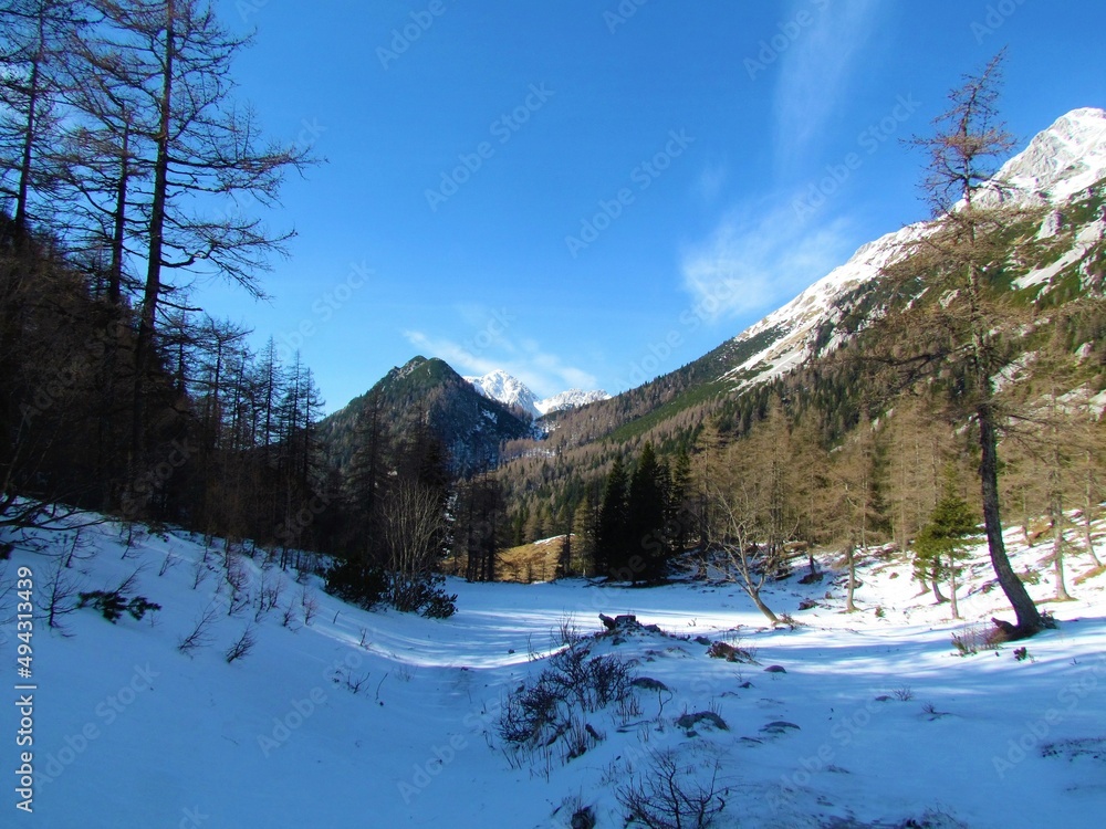 Winter view of a valley at Zelenica in Karavanke mountains in Gorenjska region of Slovenia covered in snow with the peak of mountains Stol visible in the background