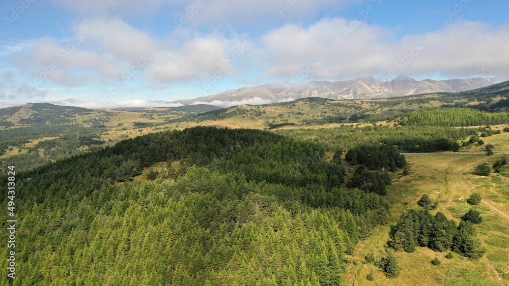 Fototapeta premium survol du massif des Pyrénées et des forets dans les Pyrénées-Orientales, sud de la France, parc naturel des Bouillouses