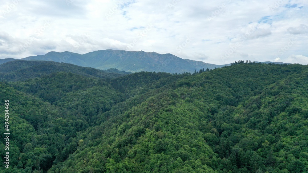 survol d'un massif forestier et d'une foret en Espagne survol d'un massif forestier et d'une foret en Espagne