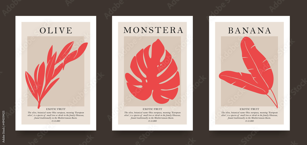 Collection of aesthetic posters with tropical leaves in a minimalist style. design for print, cover, wallpaper, minimalistic and natural wall art.
