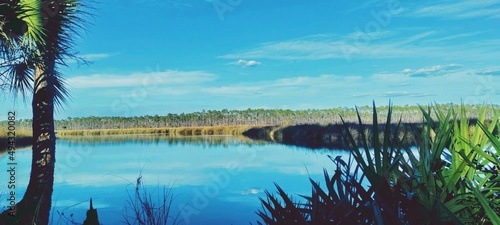 Fototapeta Naklejka Na Ścianę i Meble -  Florida water