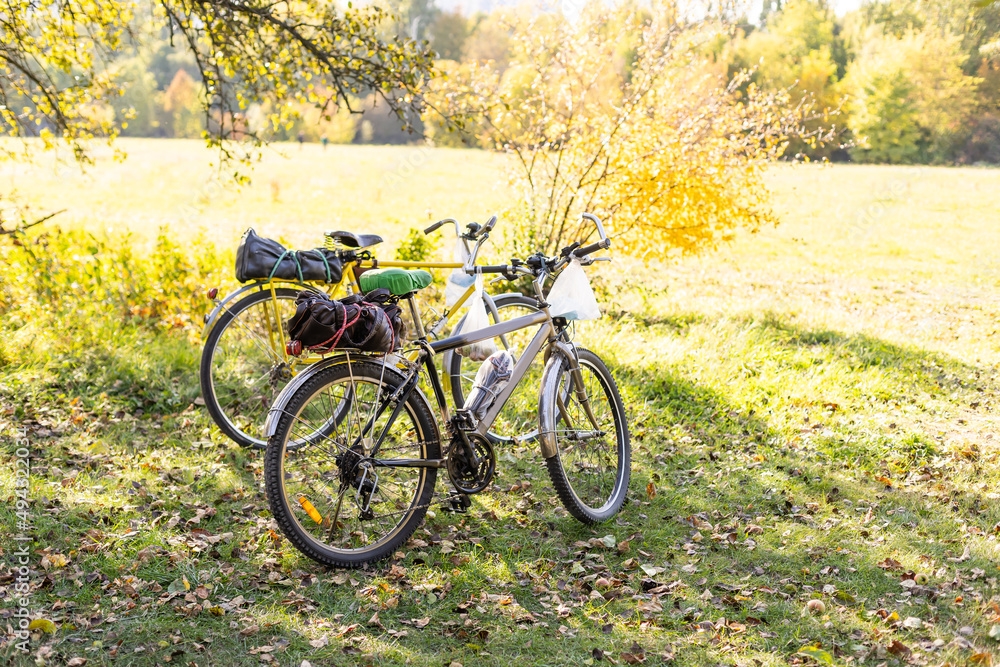 two bicycles standing on covered autumn leaves