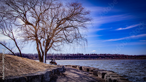 Couple is sitting under the tree in summer 