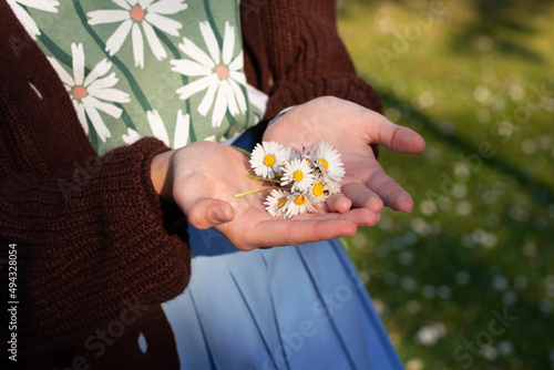 girl's hands holding daisies