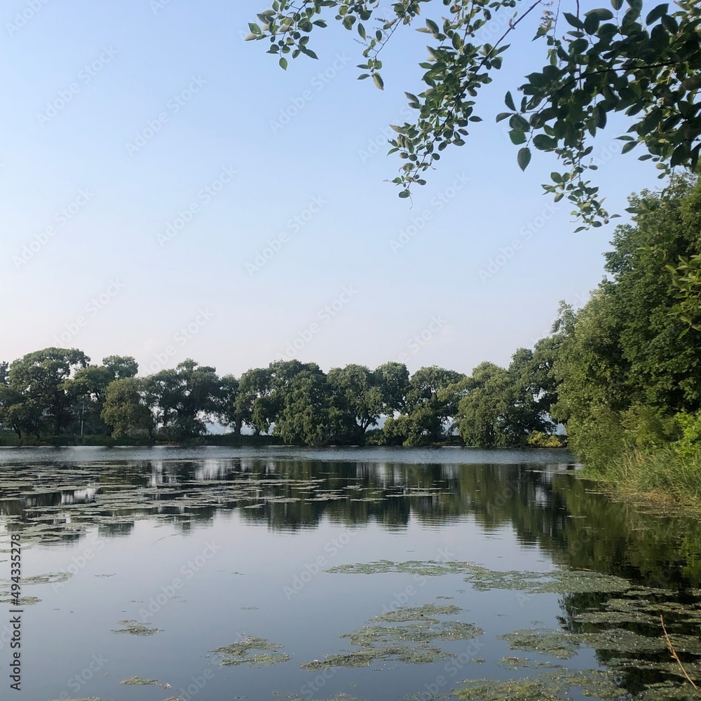 Obraz premium pavilion in the park