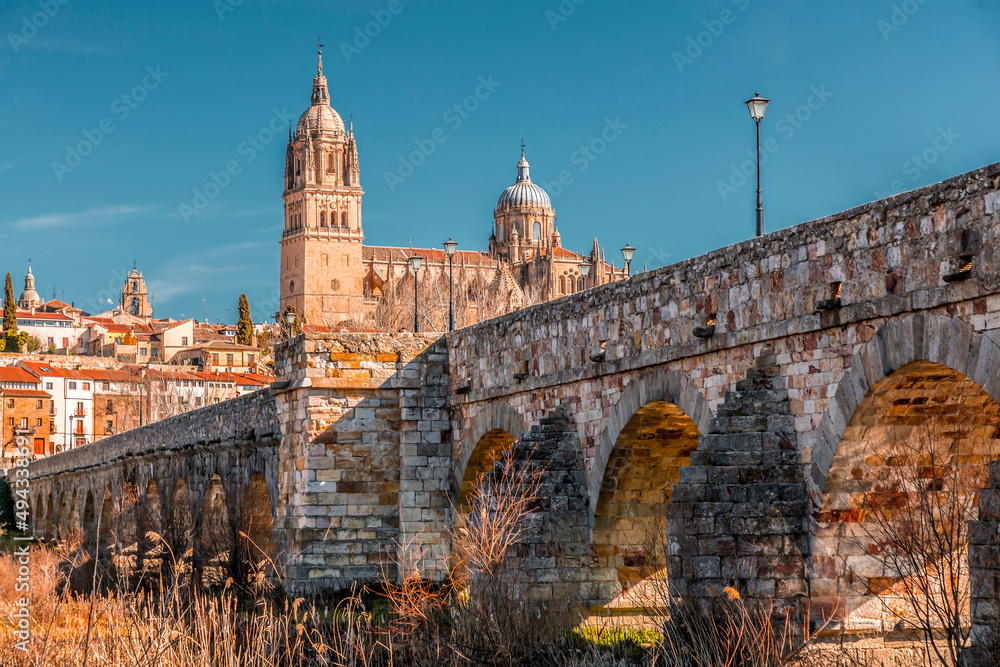 Salamanca skyline view with Cathedral and the Roman Bridge on Tormes River, Spain