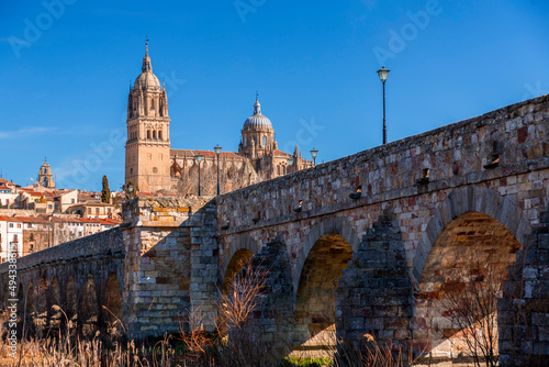 Salamanca skyline view with...