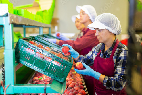 Three women working in sorting room. Man holding box full of peaches behind them.
